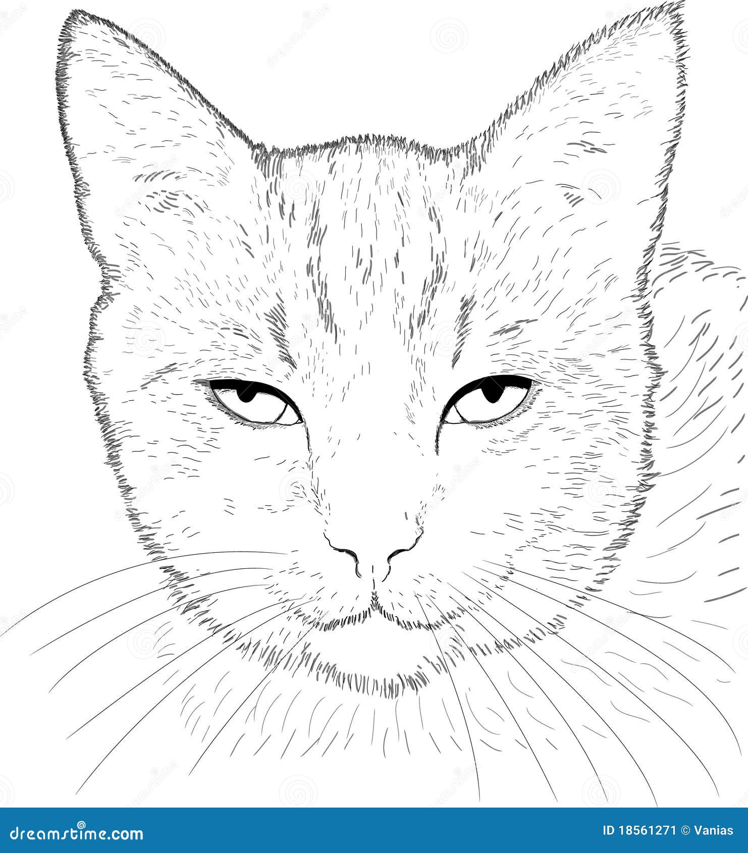 Cat Drawing Stock Image - Image: 18561271