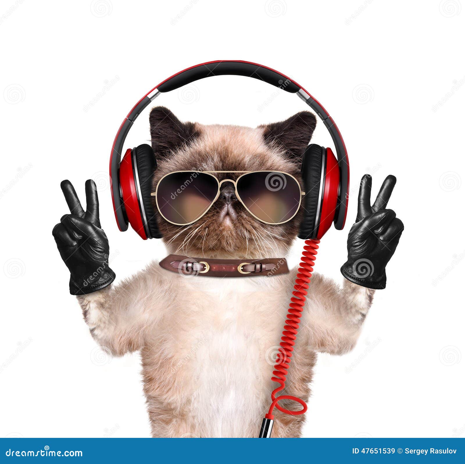 Cat Headphones. Stock Photo - Image: 47651539