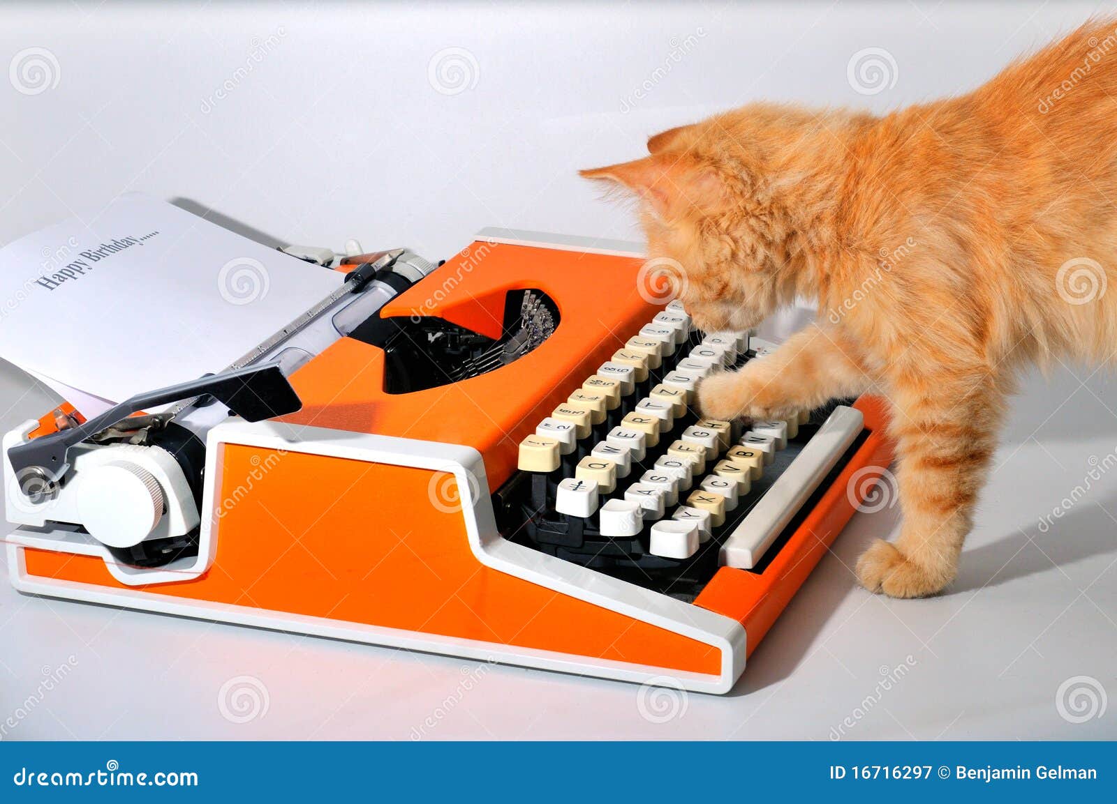 orangie & typewriter