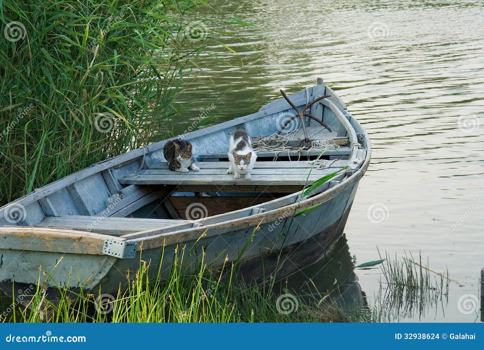 Fishing Boats