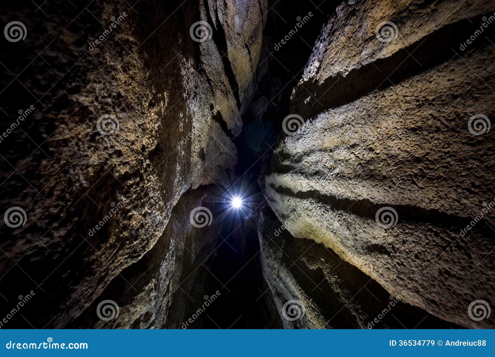 the cave and the light the cave and the light