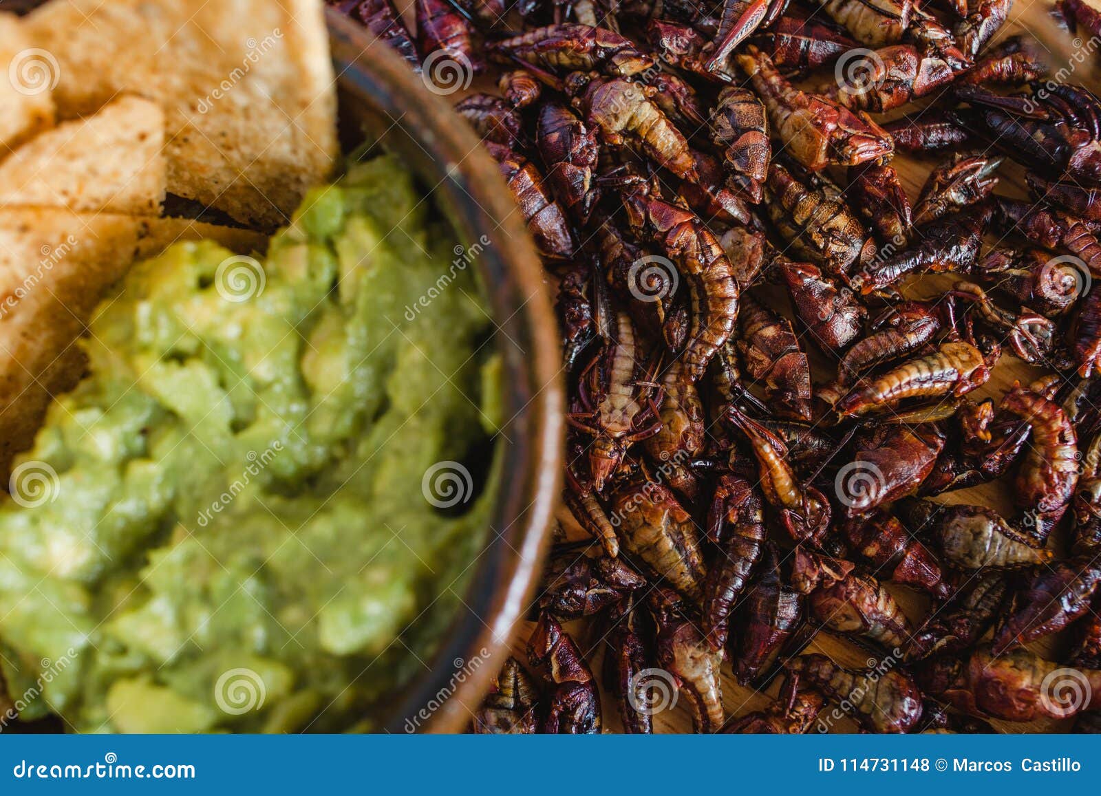 Chapulines Saltamontes Y Cocina Mexicana Tradicional Del Bocado Del