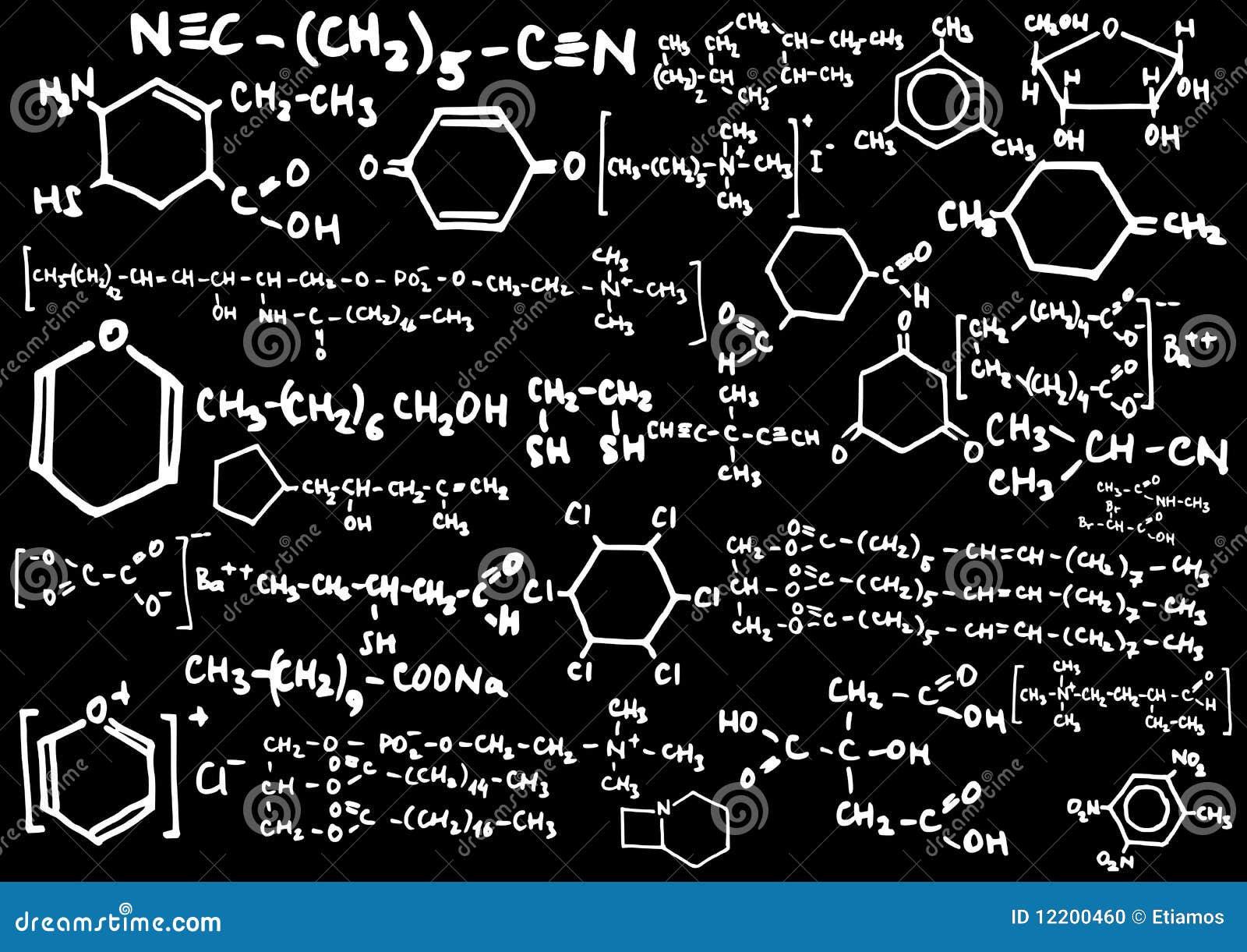 download theory of function