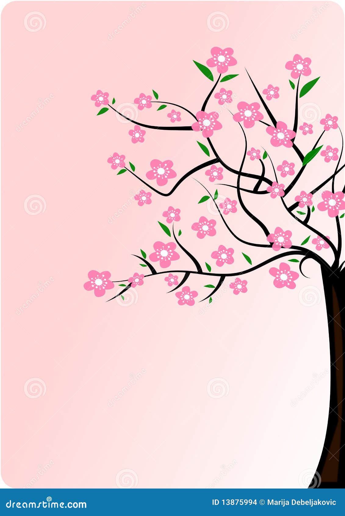 Cherry Blossom Tree Stock Images - Image: 13875994