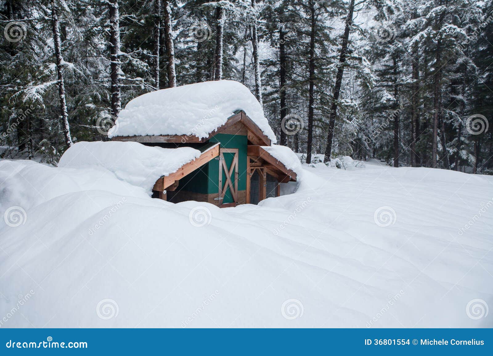 Chicken coop outbuilding buried in deep snow in an Alaskan winter.