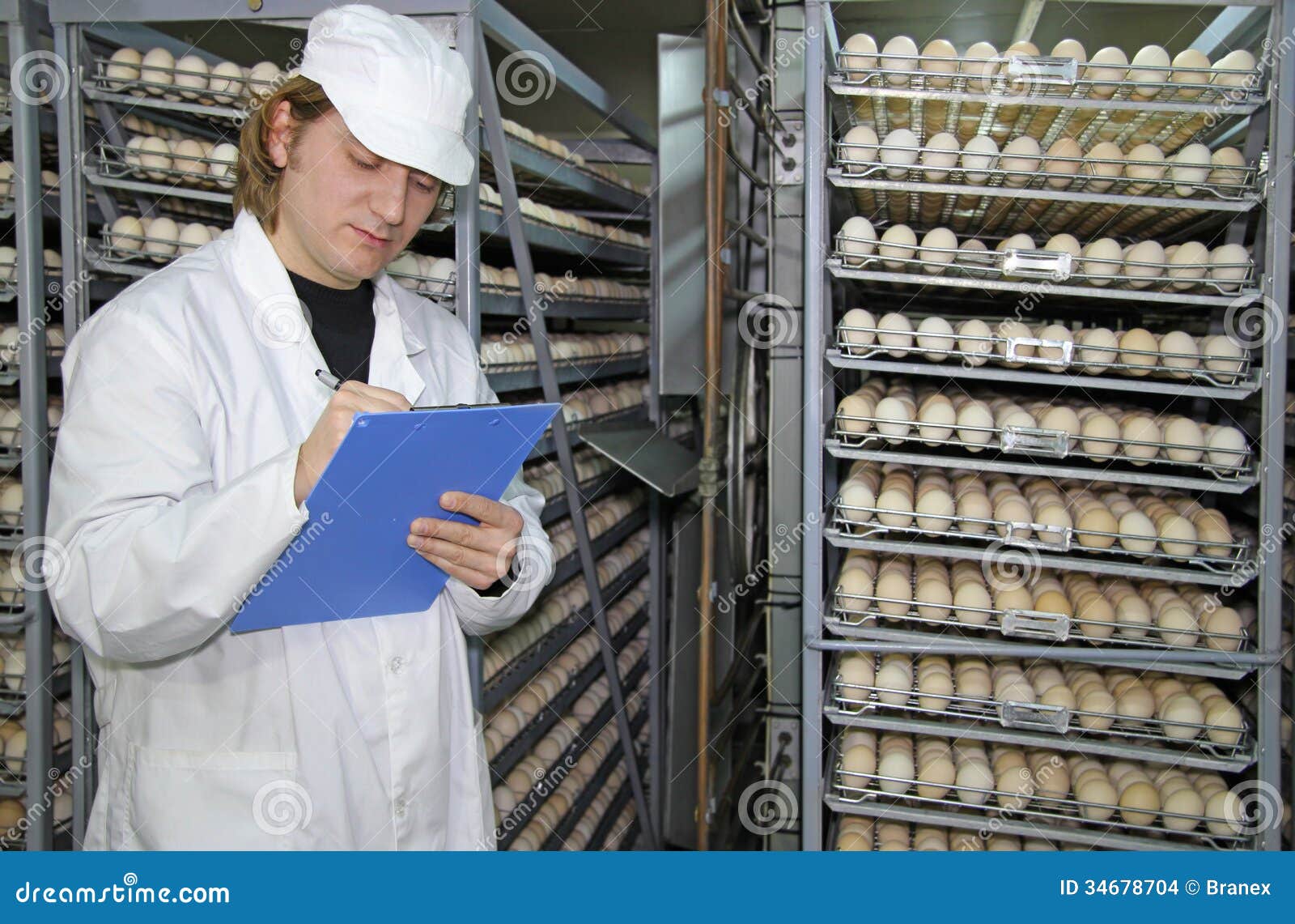 Chicken Eggs In Incubator Stock Images - Image: 34678704