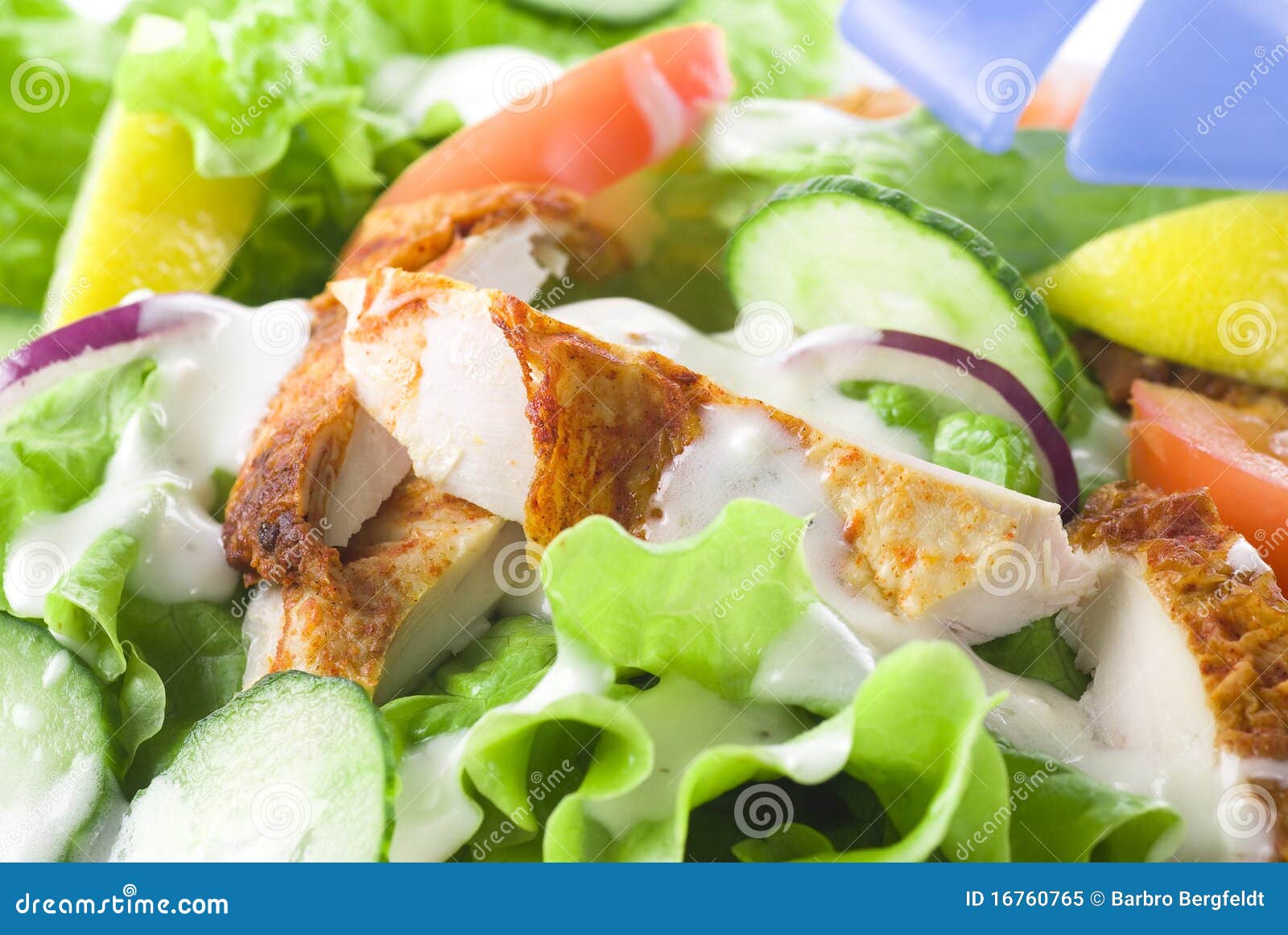 chicken salad clipart - photo #13