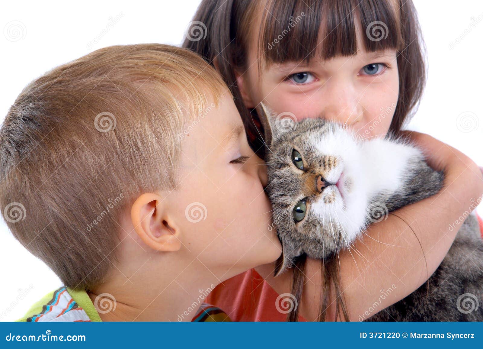 Фотогалерея - Кошки и дети - Забавные фото кошек - CATS -галерея 75 Фотогалерея - Кошки и дети - Забавные фото кошек - CATS -галерея 92