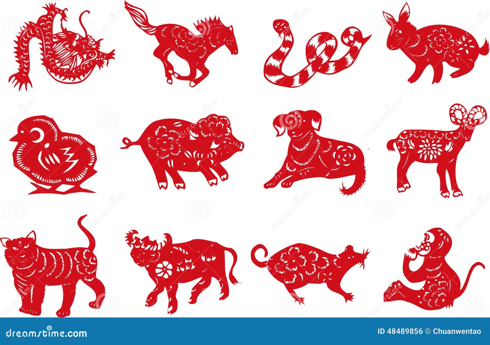 Animal A Animal A