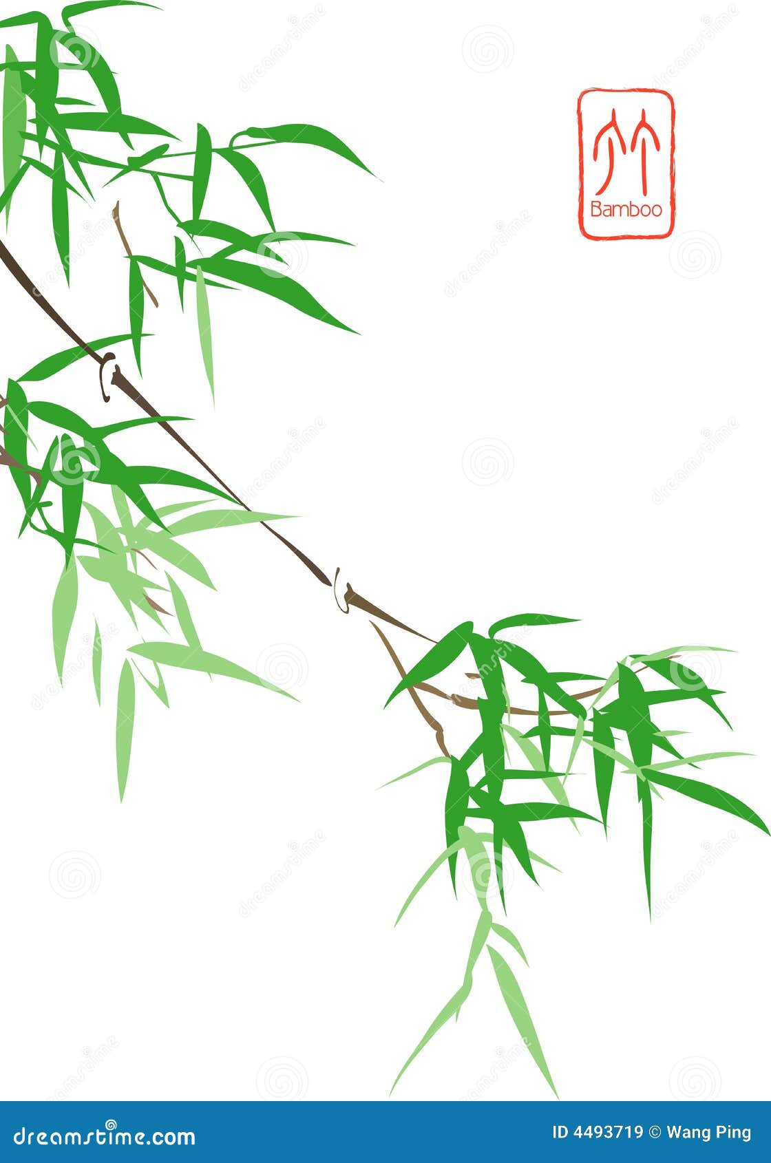 chinesischer bambus