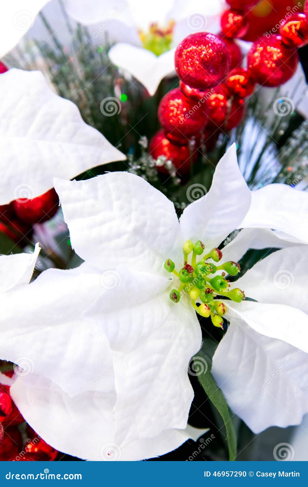 christmas decorations white poinsettia stock photo christmas decorations white poinsettia stock photo