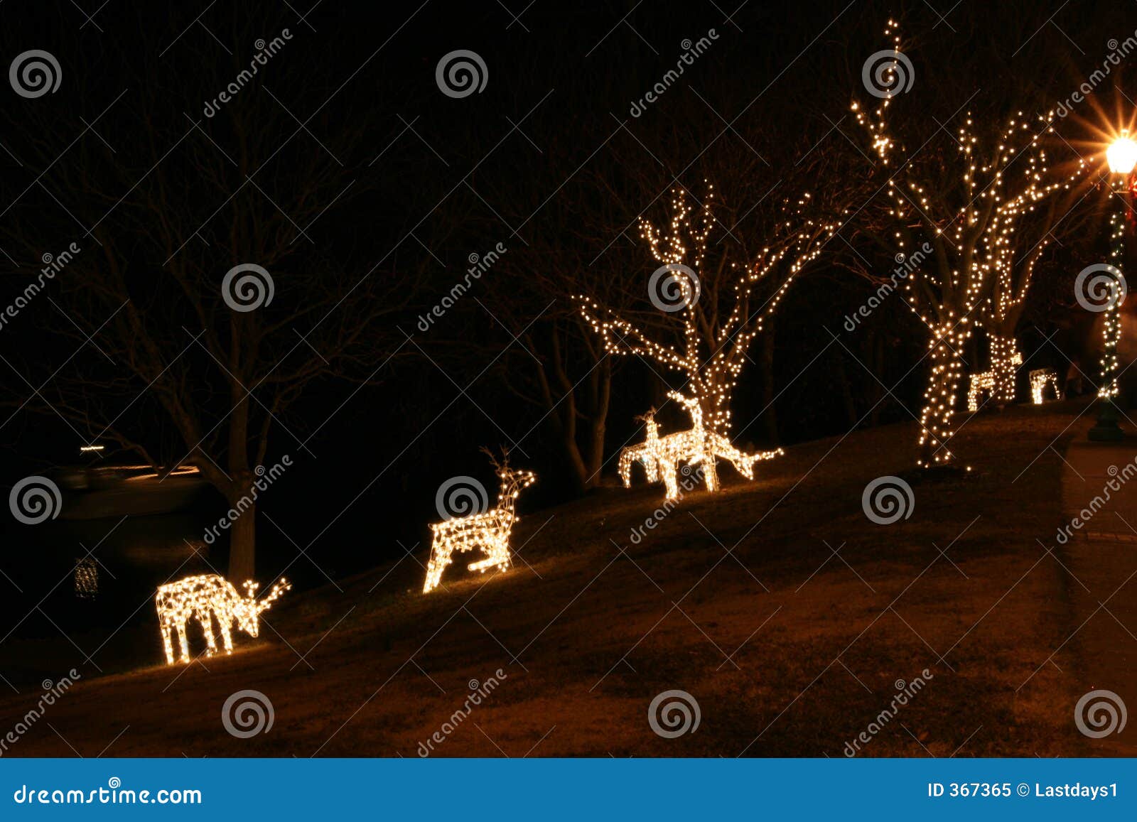 Christmas Deer Lights Royalty Free Stock Photo - Image: 367365