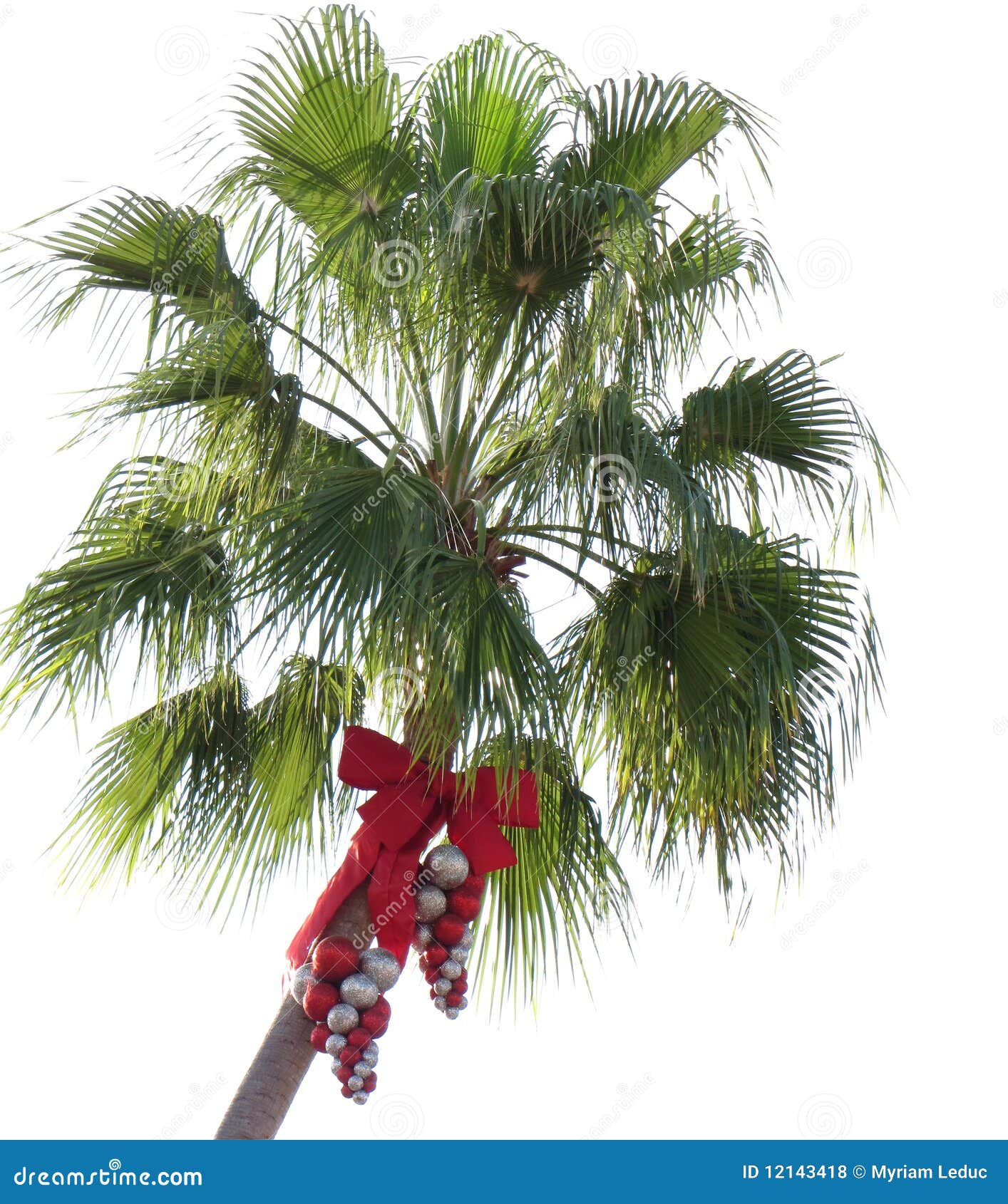 christmas palm tree clip art free - photo #44