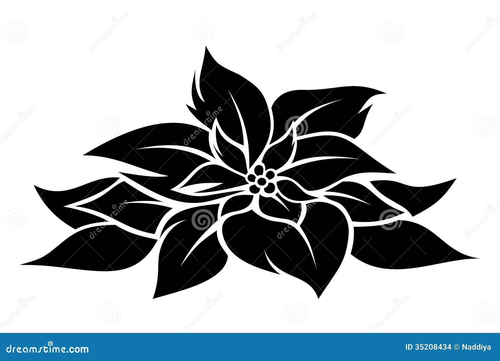 free black and white poinsettia clipart - photo #20