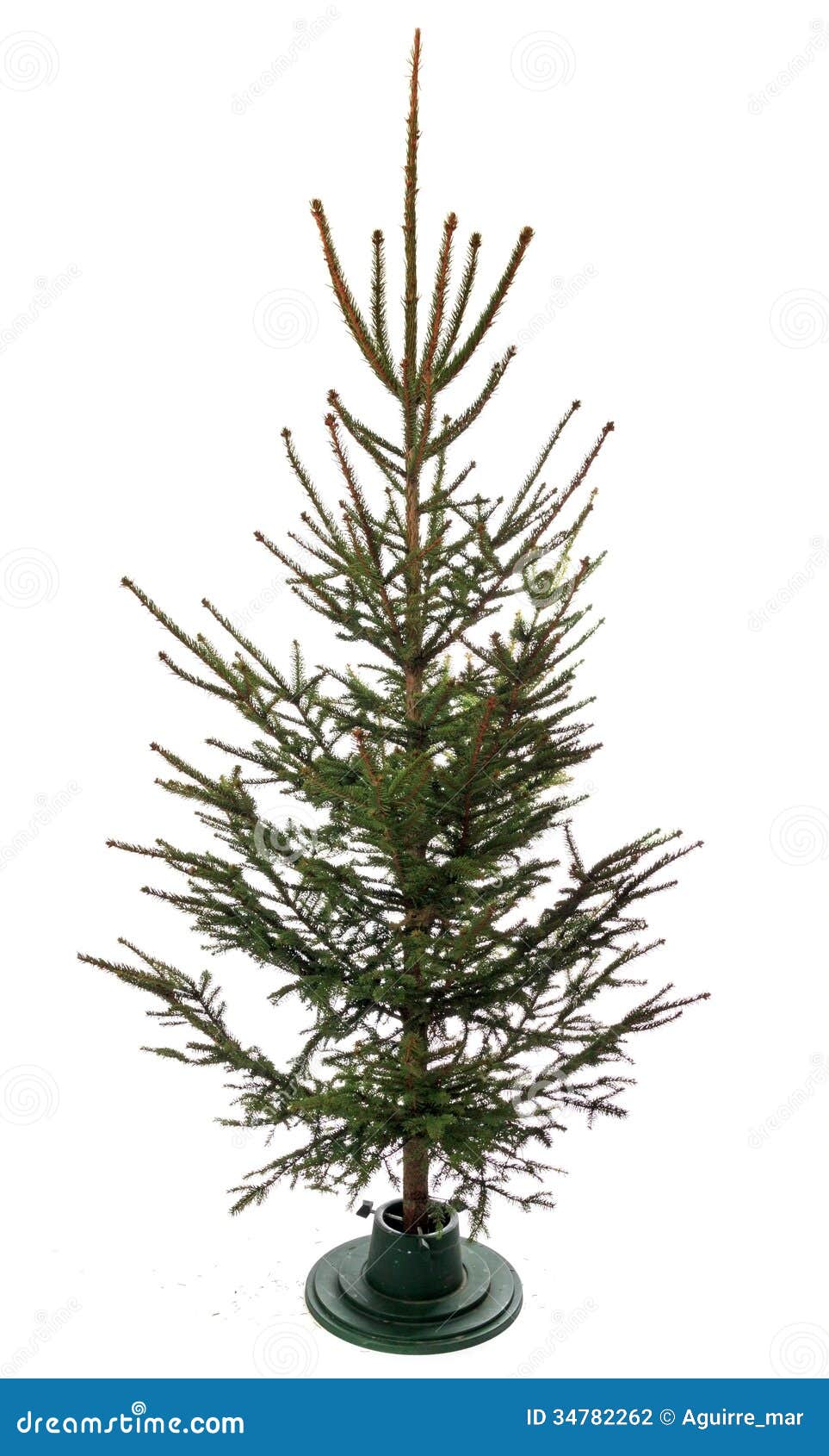Christmas Tree Stock Photography - Image: 34782262