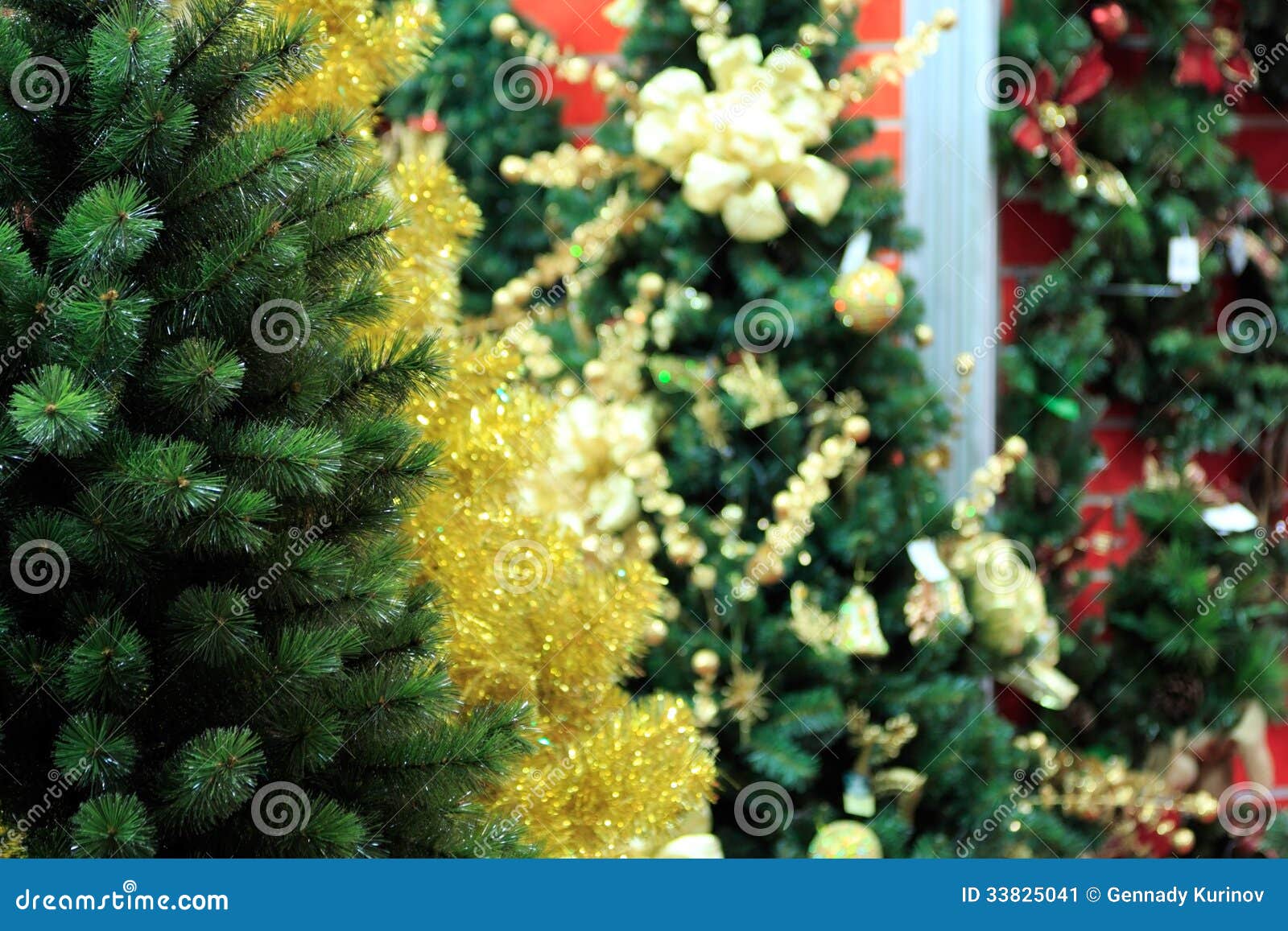 christmas trees for sale stock image image 33825041 christmas trees for sale stock image image 33825041