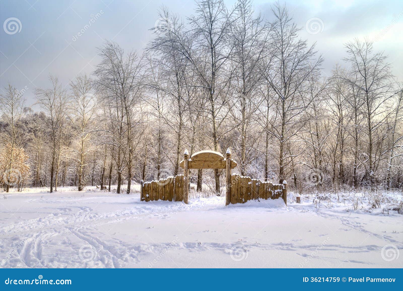 Winter landscape. Edge of the snowy woods on a sunny day.