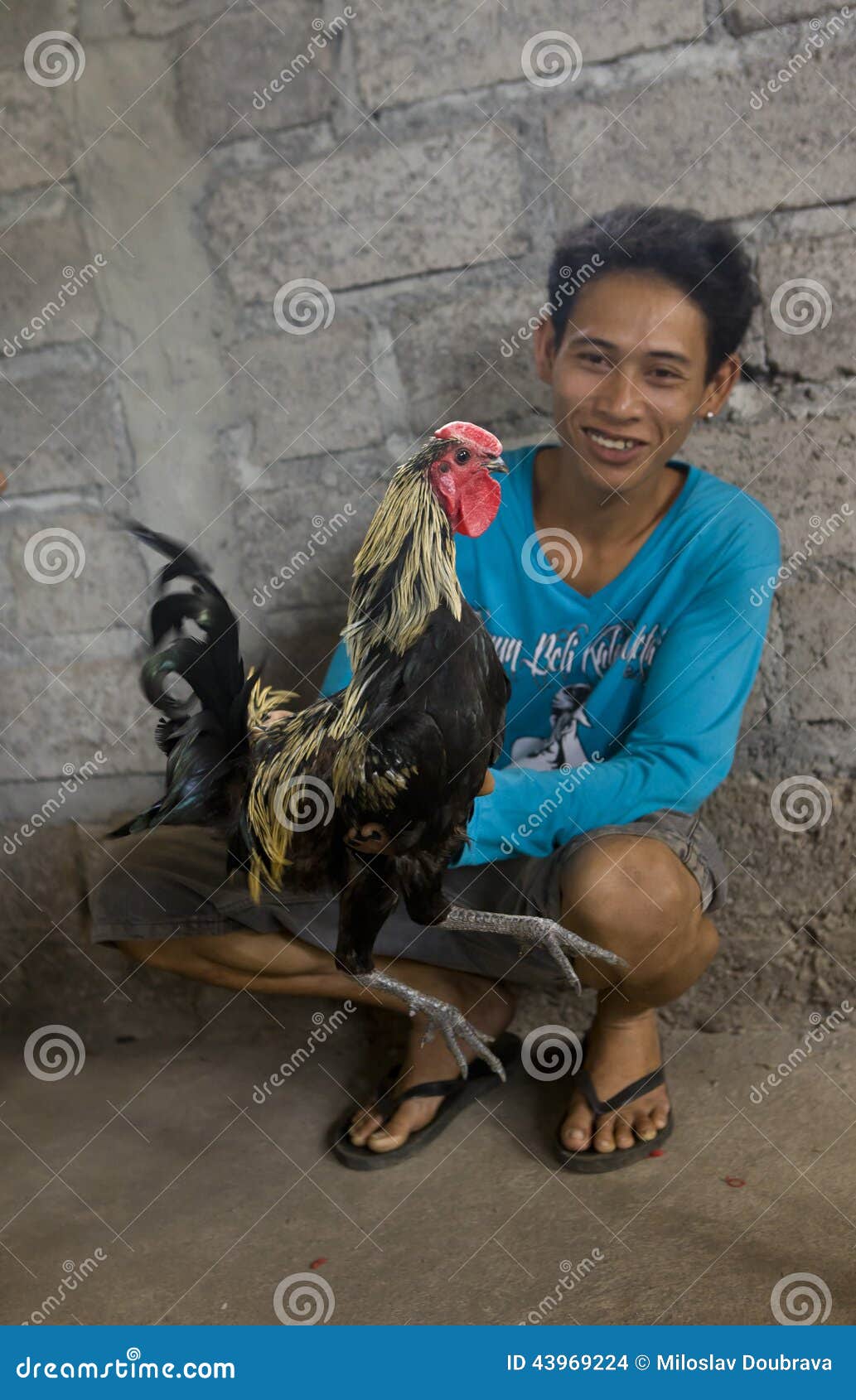 cock-fighter-his-owner-young-squatting-indonesian-boy-blue-t-shirt-bali-43969224.jpg