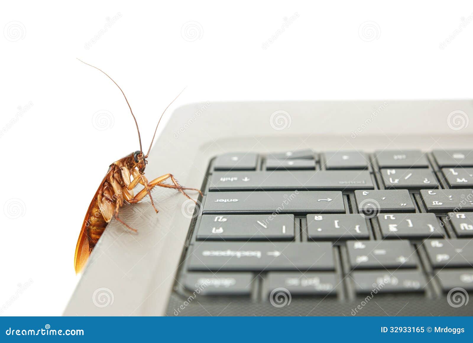 from Byron cock roaches eating the computer screen virus hot aunties nude big ass