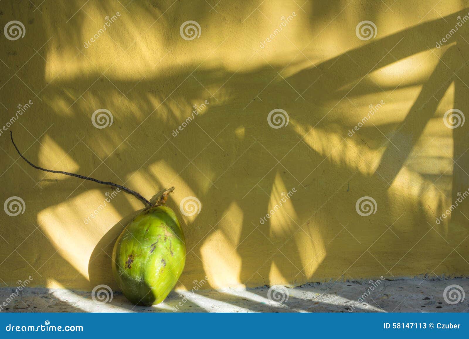 http://thumbs.dreamstime.com/z/coconut-shadows-tropics-big-green-husk-stem-next-to-yellow-exterior-wall-tropical-palm-fronds-copy-space-58147113.jpg