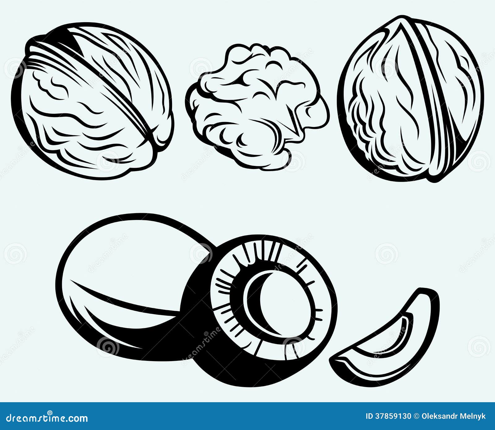 Walnut Clipart Black And White