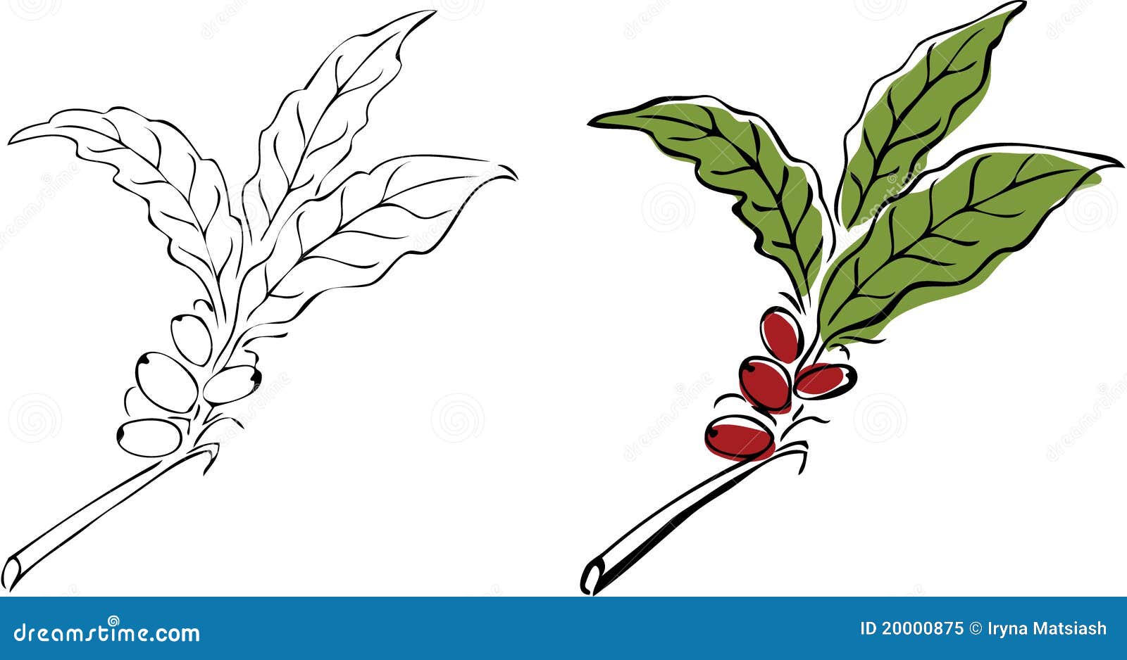 coffee tree clipart - photo #14