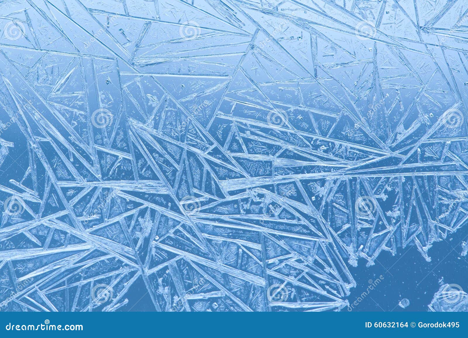 Frozen Pattern Glass Frozen Pattern Glass
