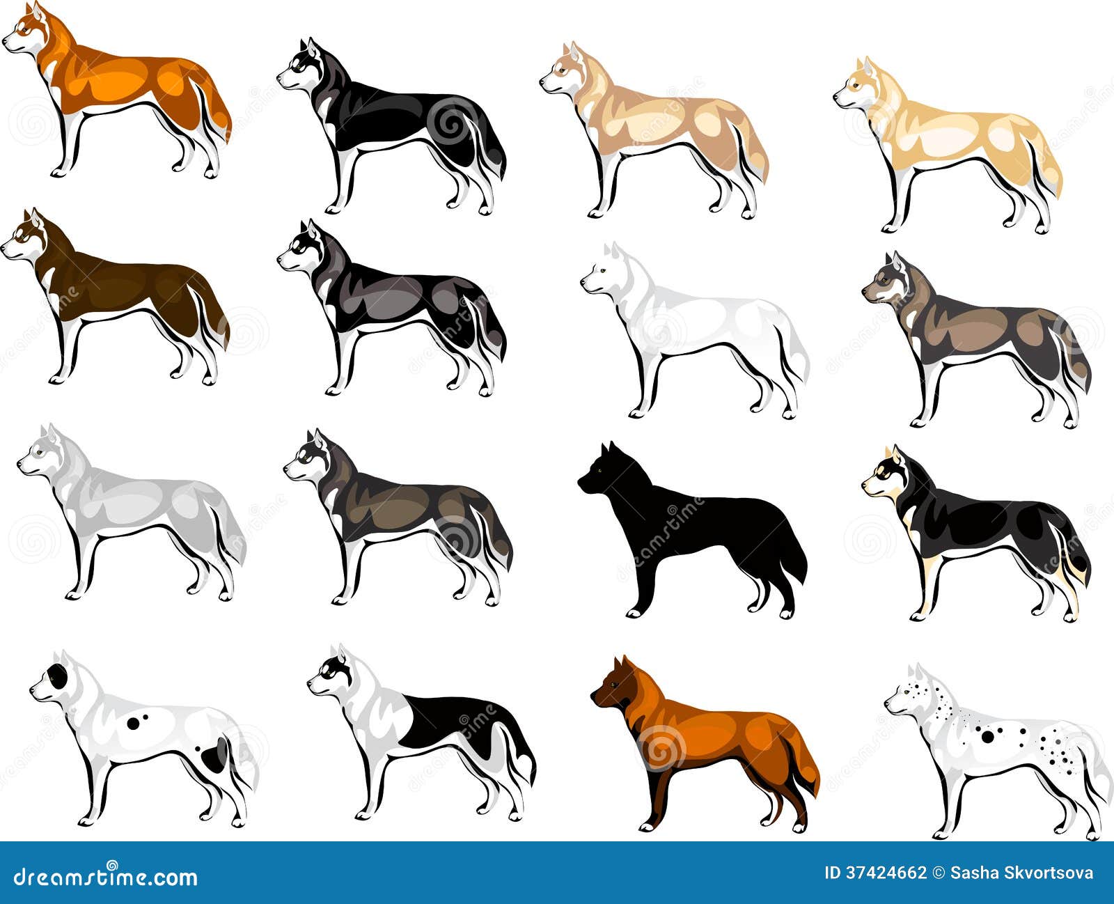 Husky Color Chart