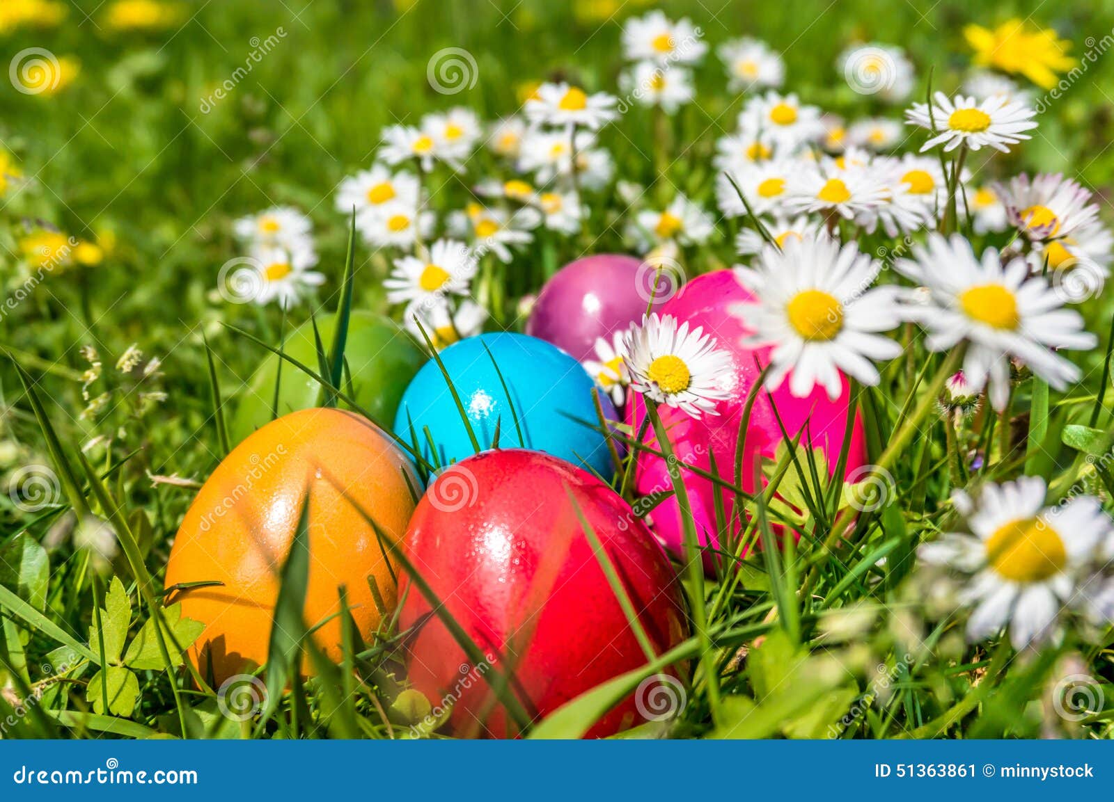 Colorful Easter Eggs Lying In Grass Colorful Easter Eggs Lying In The Grass Between