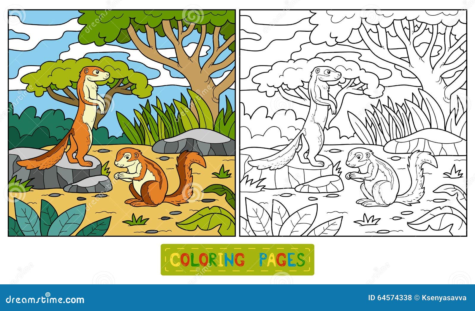 xerus squirrel coloring pages - photo #14