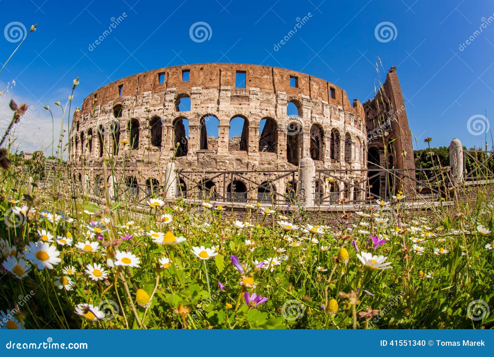 Colosseum During Spring Time, Rome, Italy Stock Photo  Image: 41551340
