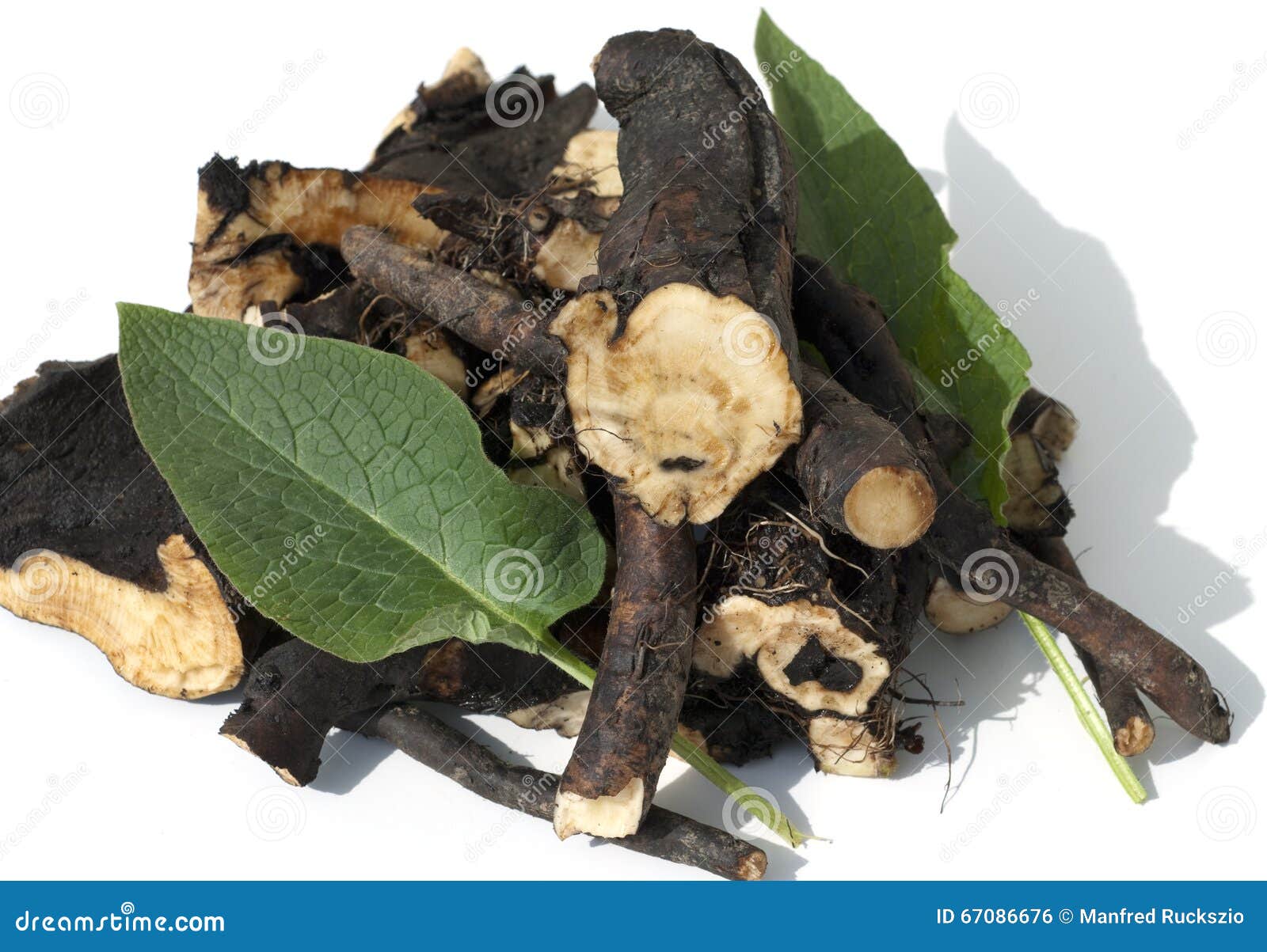 Roots Of Nature Remedies Roots Of Nature Remedies