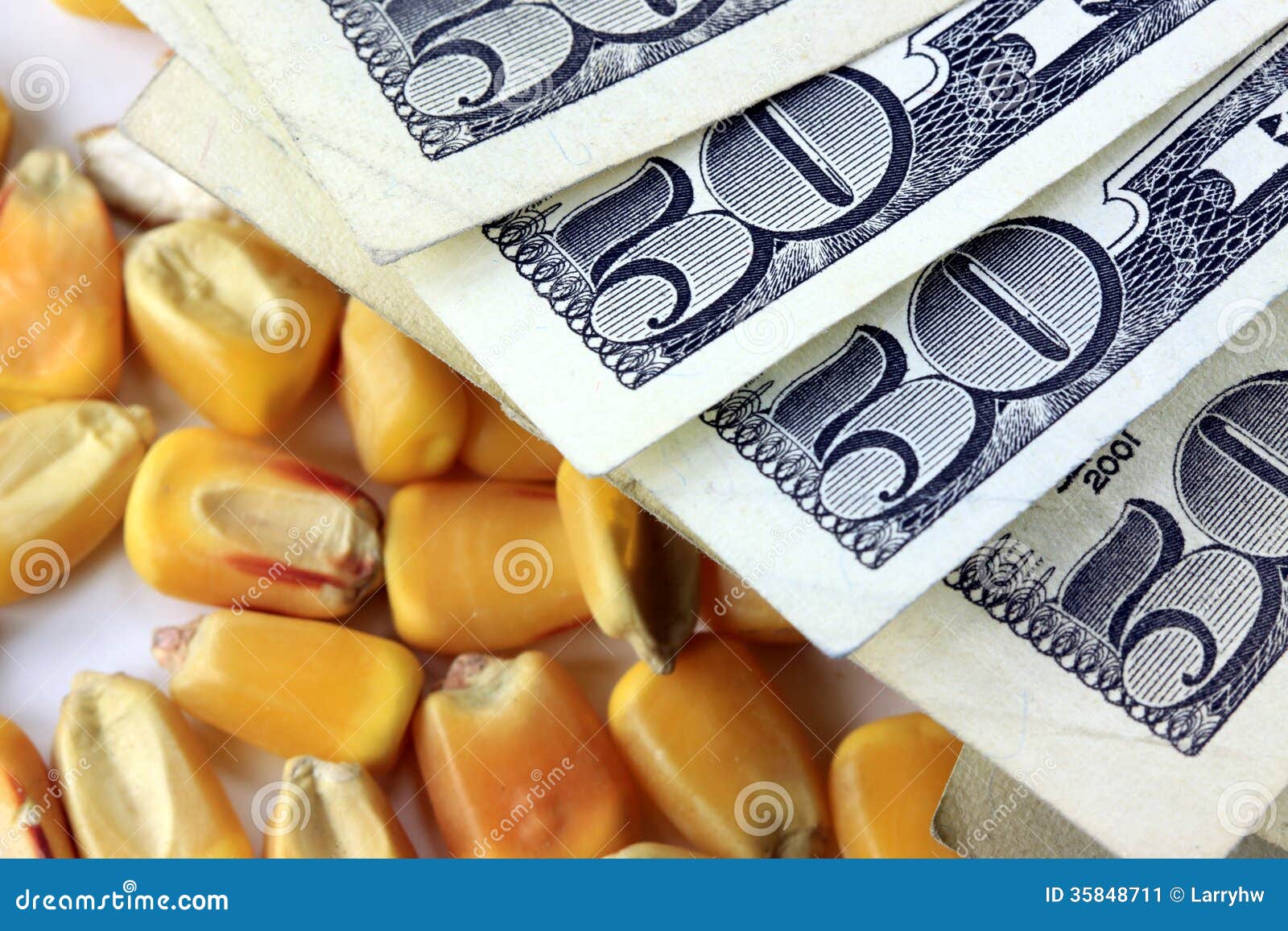 Corn options trading hours