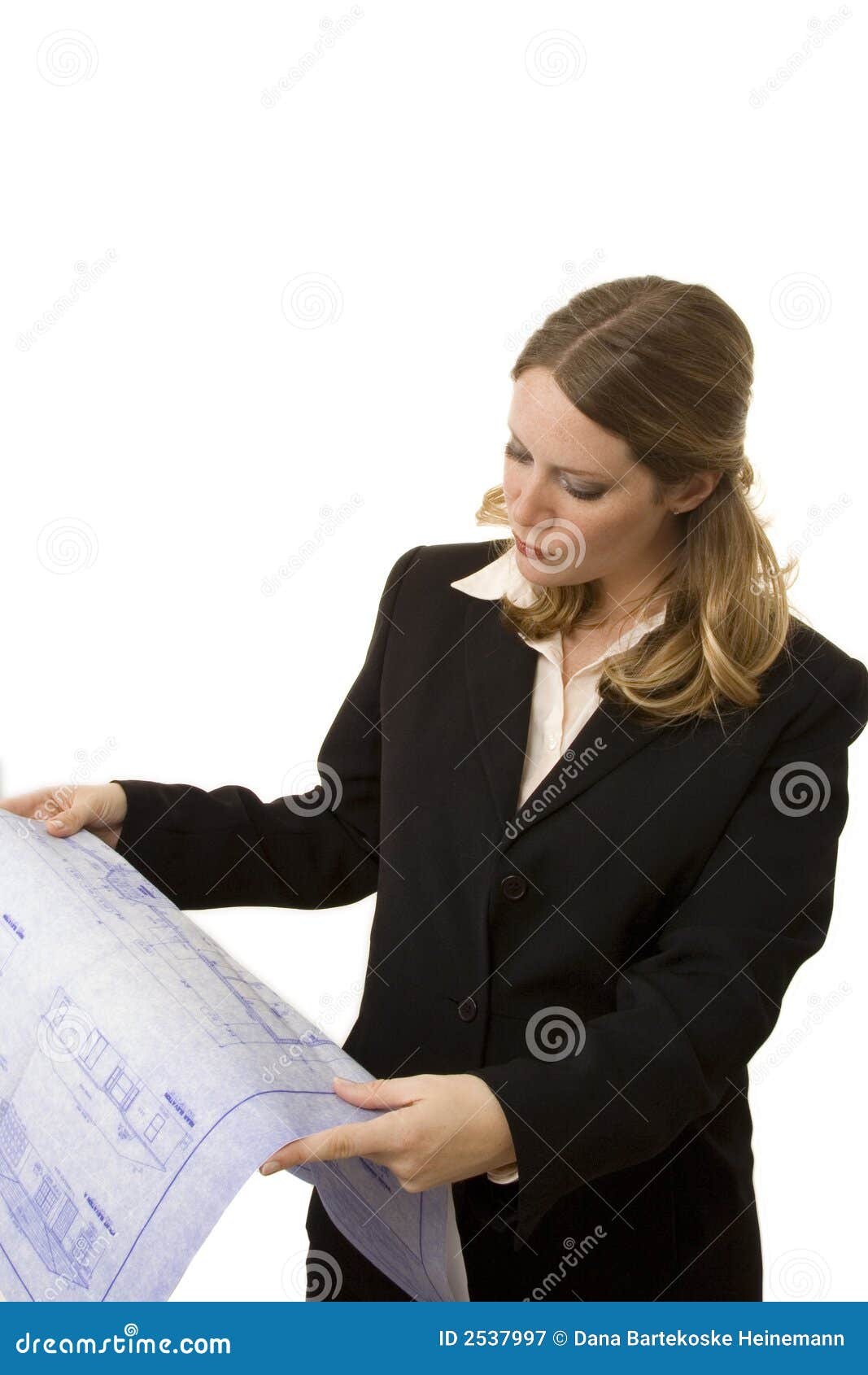 contractor-2537997.jpg