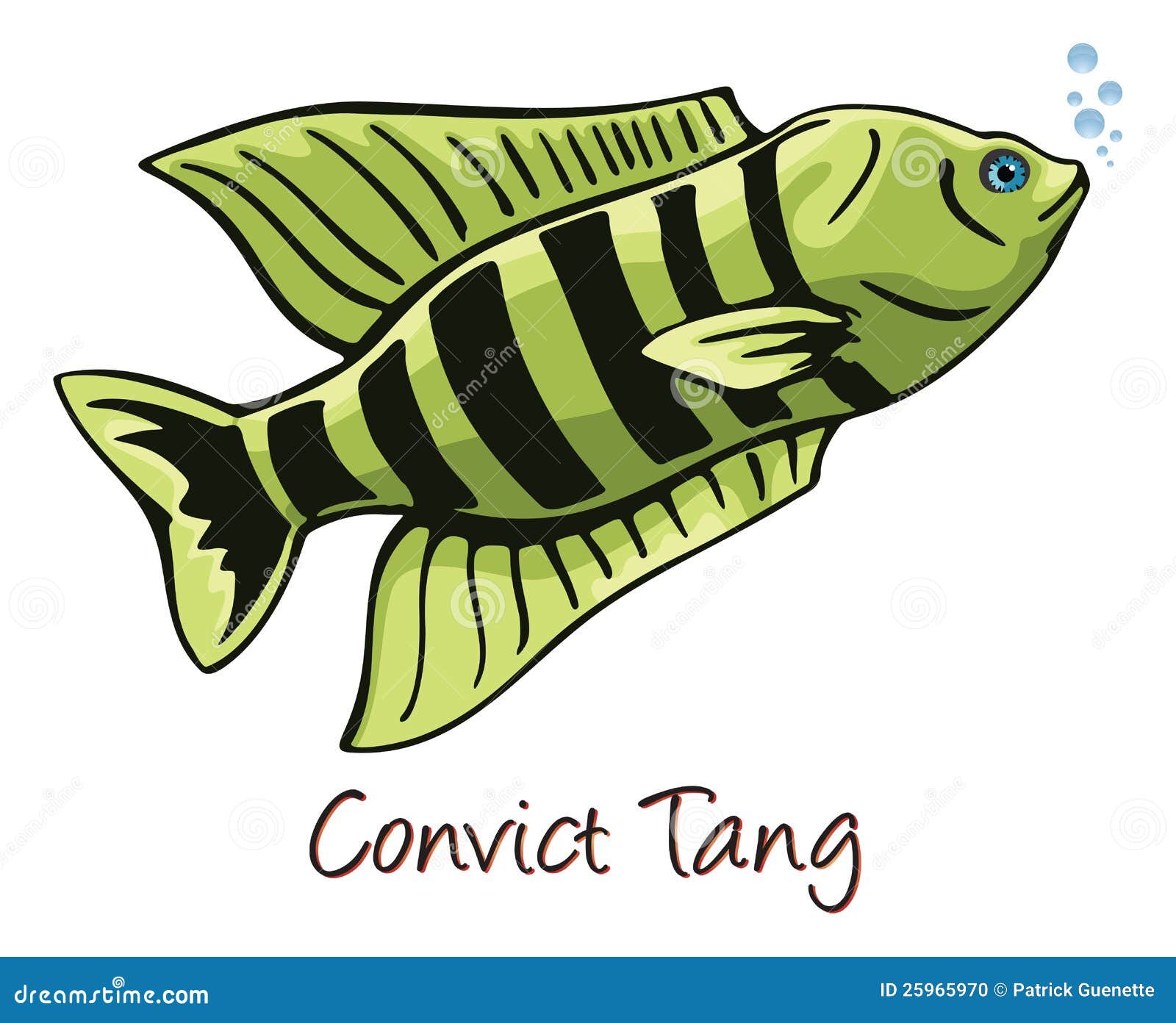 yellow tang coloring pages - photo #38