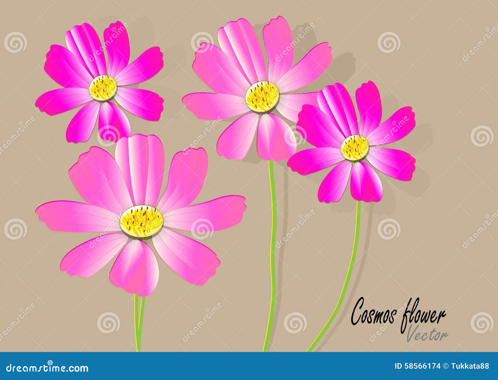 clipart of cosmos flower - photo #48