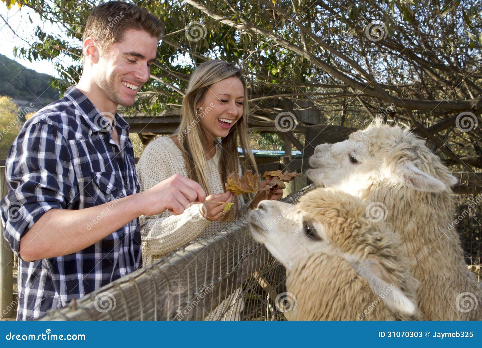 Dating sites zoo