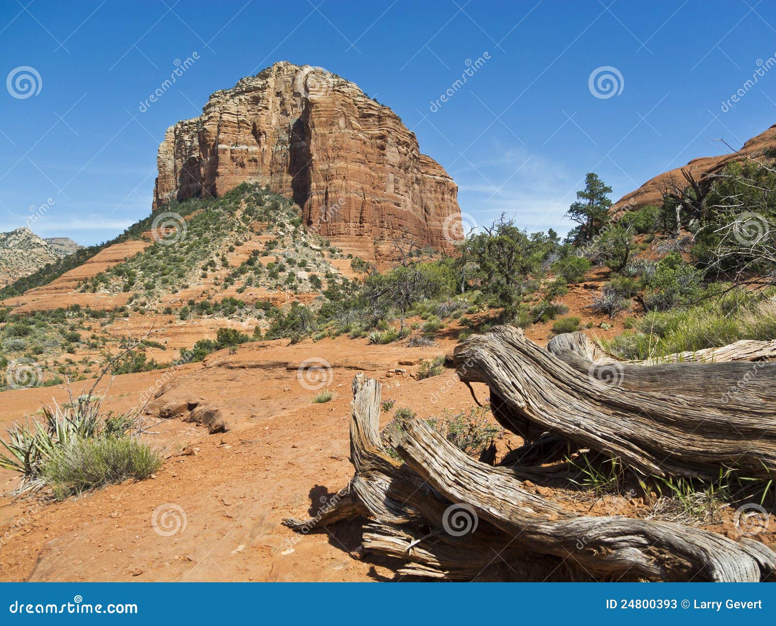 Natural Resources In Sedona Arizona Natural Resources In Sedona Arizona