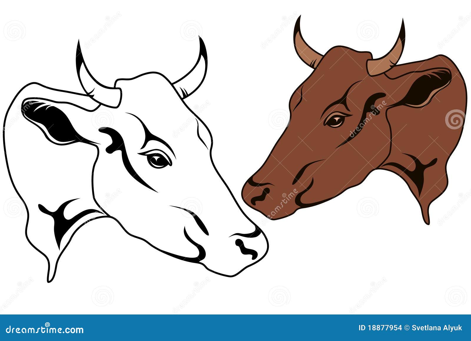 Cow Vector Stock Images - Image: 18877954