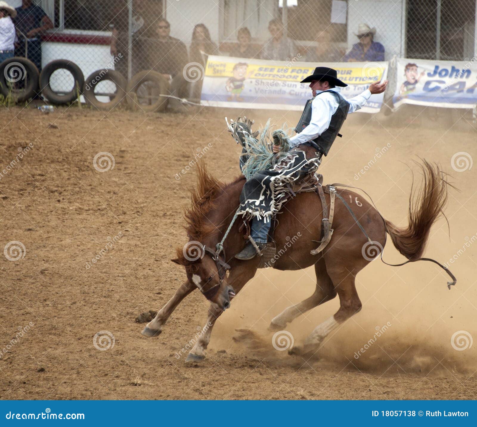 How to Steer a Horse With Only Your Legs How to Steer a Horse With Only Your Legs