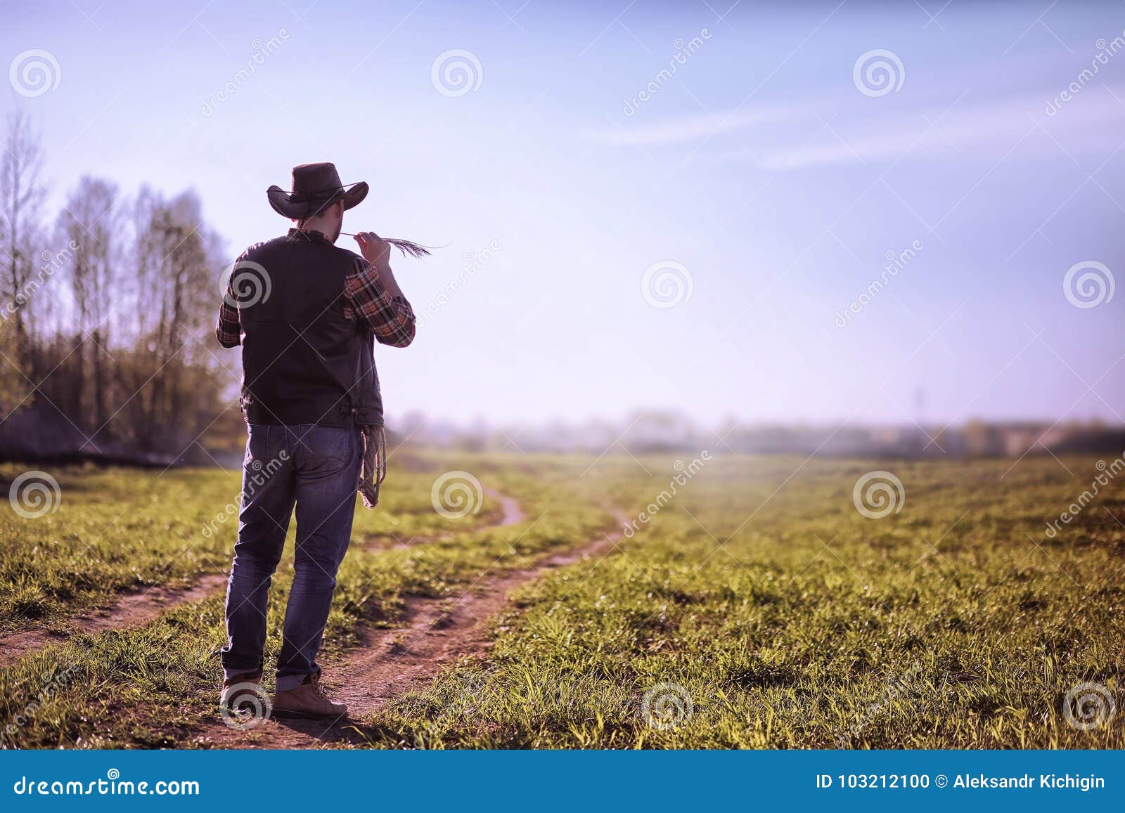Cowboy Standing In A Field At Sunset Stock Photo Image Of Person