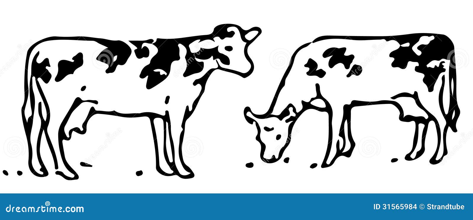 cow grazing clipart - photo #49