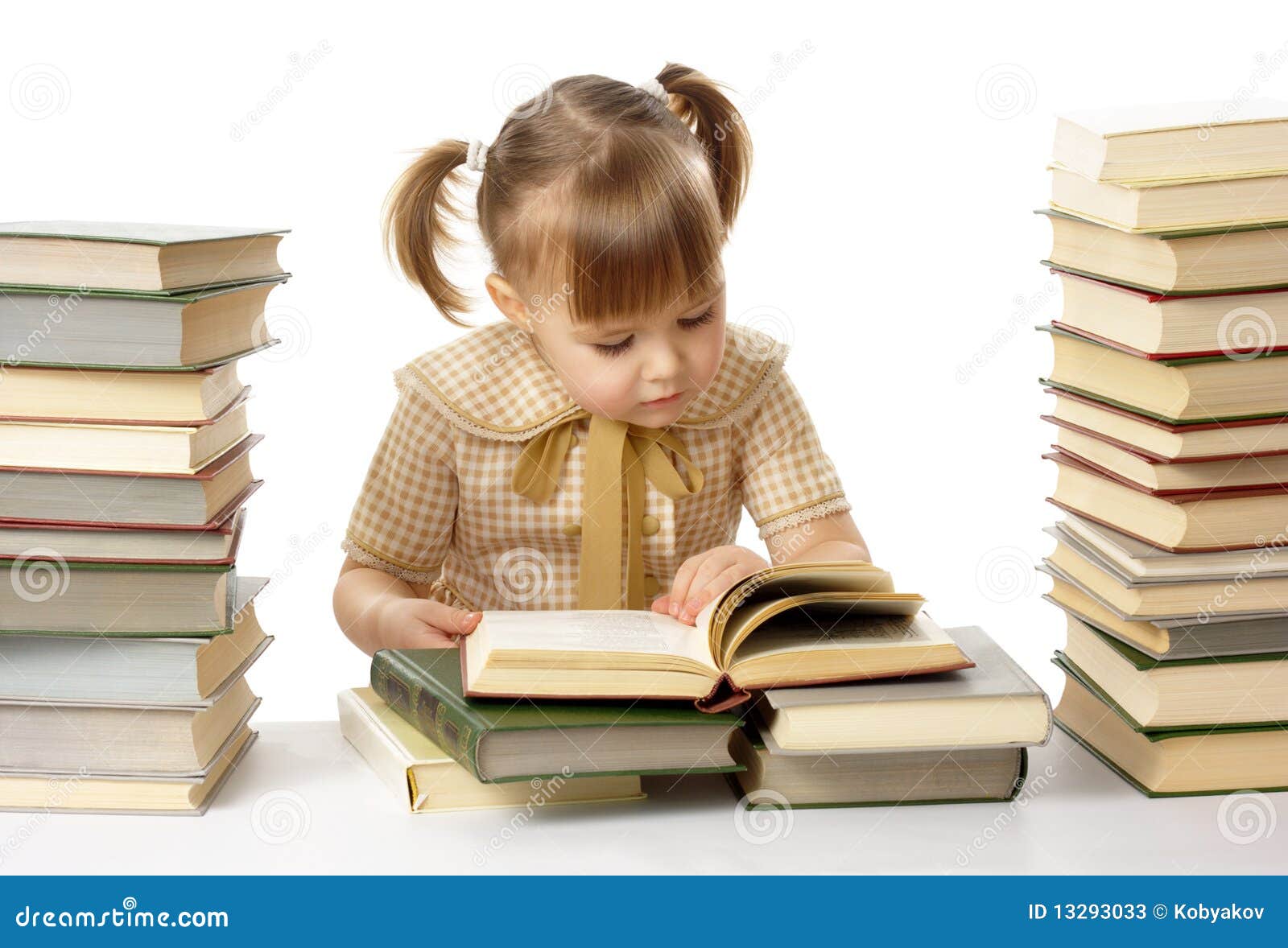 Book report little woman
