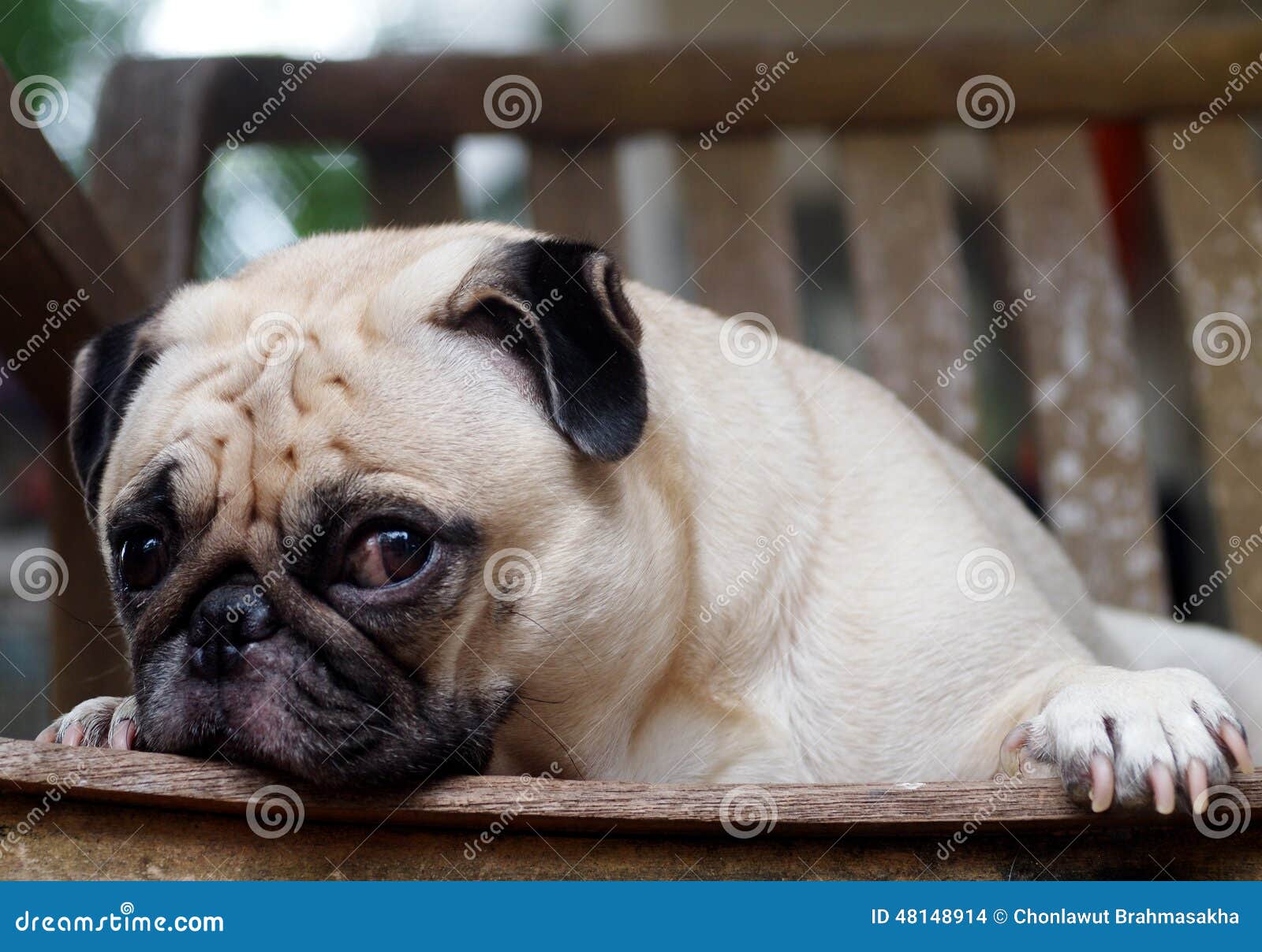 ... sitting on a wooden chair making funny face looking for friends to