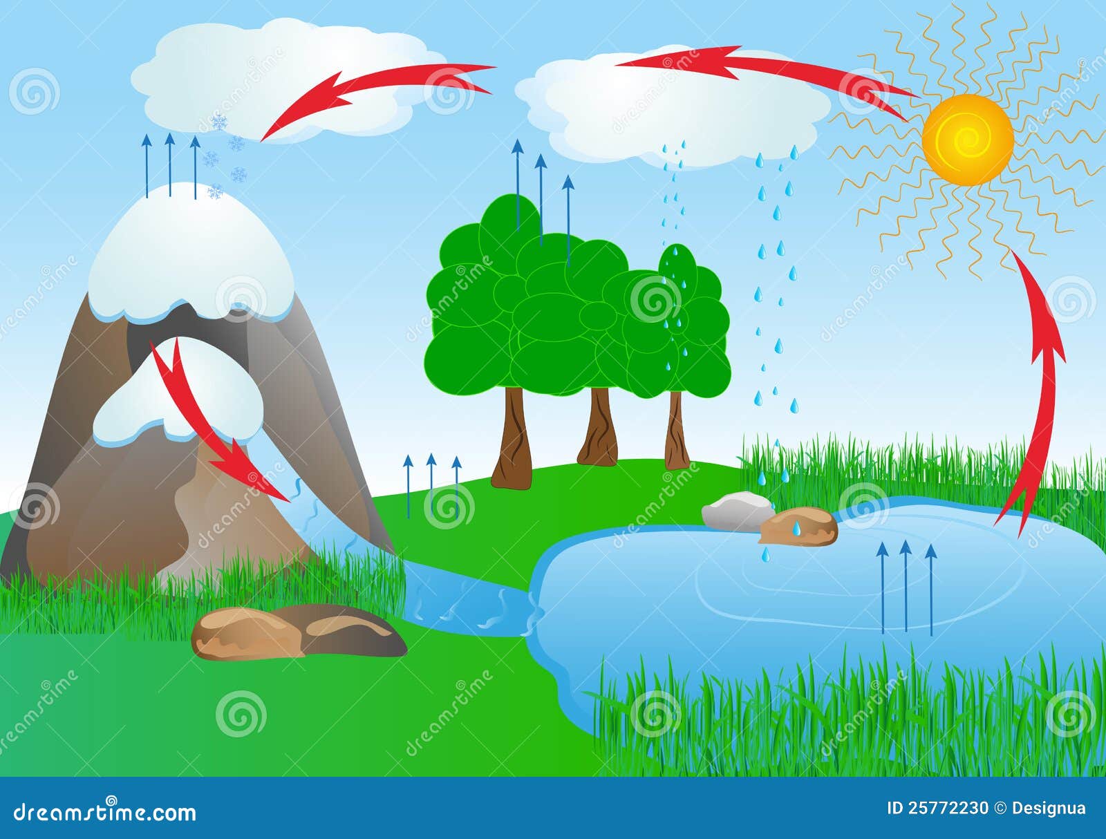 water cycle clip art - photo #36
