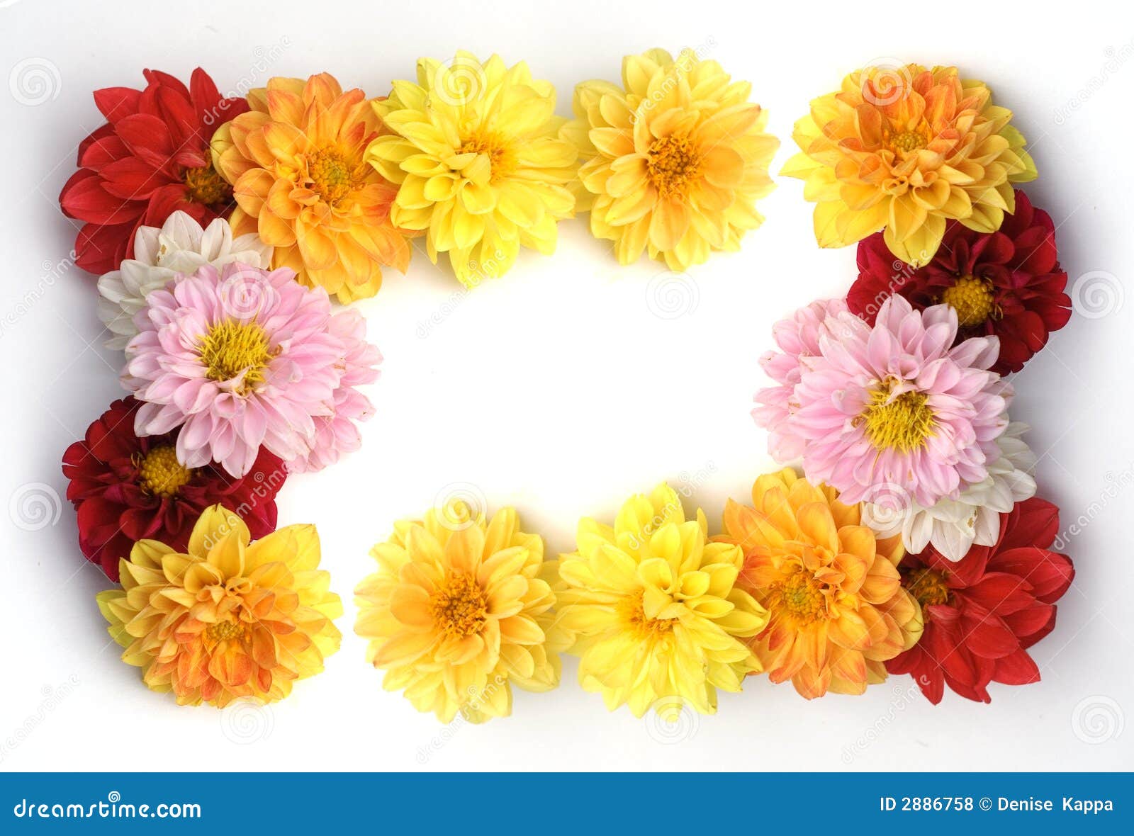 Dahlia Frame Royalty Free Stock Photos - Image: 2886758