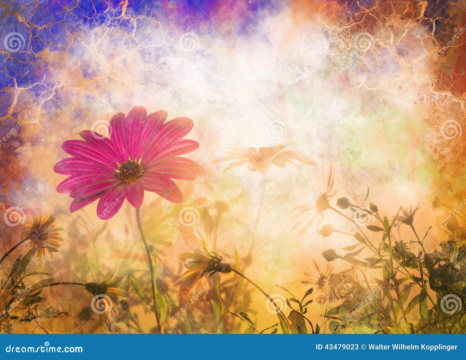 Daisy, Spring Sunrise Flowers Stock Illustration - Image: 43479023