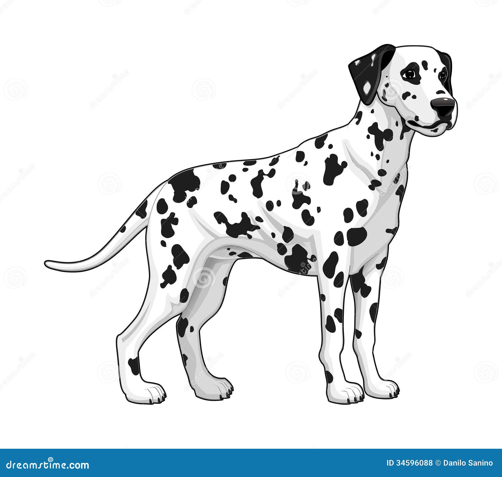 dalmatian dog clipart - photo #29