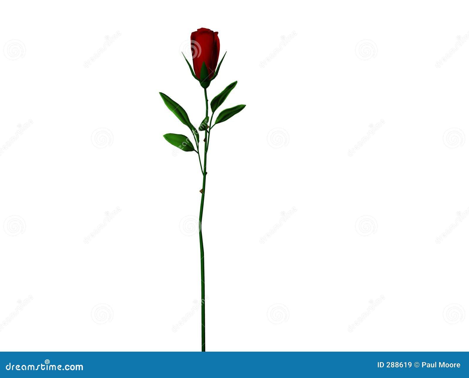 clipart long stem roses - photo #43