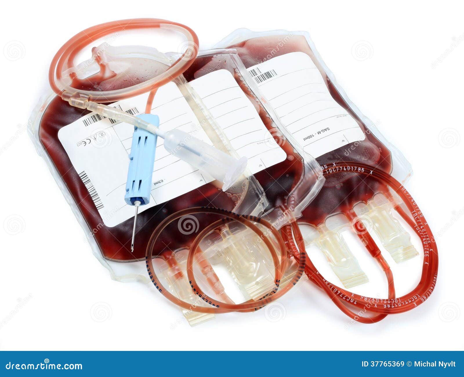 Blood basics   american society of hematology